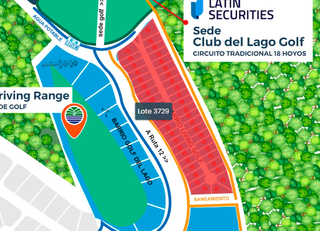 Imagen del lote